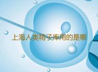 上海人类精子库用的是哪个省的精子做供精,上海黄浦区能够提供供精的医院-火影疾风传单机